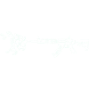 Peony Weapon