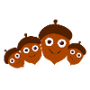 Nuts,Nut,Family,Family