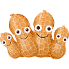 Nuts,Nut,Family,Family,Peanuts,Peanut