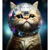 Disco Katze