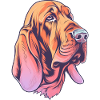 Bloodhound