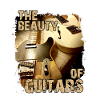 The Beauty Of Guitars