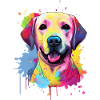 Labrador