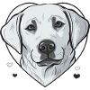 Labrador Heart