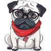 Pug