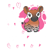 I love okapi