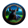 Deer in the Grass