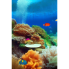Underwater