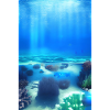 Underwater