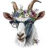 Chèvre fraîche