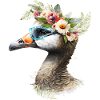Pretty goose