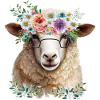 Funny sheep
