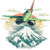 The plane