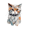 Miko the kitten