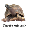 Turtle mit mir