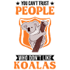 Koala Gift Koala Bear