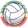 Volleyball Beach Volleyball Retro