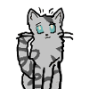 Warrior Cats - Jayfeather