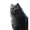 Warrior Cats - Graystripe