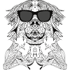 mandala nash
