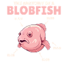 Blobfish Explication Anatomie d’un Blobfish