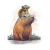 Capybara with monkeys