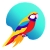 Budgerigar Bird owner Bird cockatiel