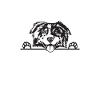 Australian Shepherd Gifts
