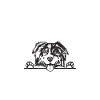 Australian Shepherd Gifts
