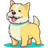 Dog with collar