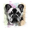 French Bulldog Frenchie
