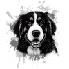 Bernadin dog