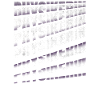 Physik Spruch Physikerin