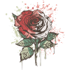 Red Rose