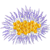 Honeycomb And Lavender