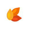 Superfood Flax Oil