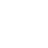 Rose blanche
