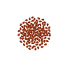 Superfood Flax Oil