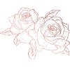 Motivation Rose