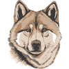 Akita