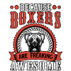Because boxers are freaking awesome