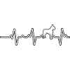 Boxer heartbeat