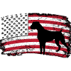 Boxer États-Unis