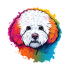Bichon Frise