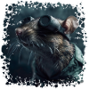 Rats see poorly