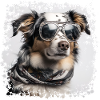 Cool dog with glasses