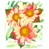 Blumen Blume