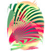 Sun Parrot Summer