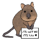 The Not Me Quokka