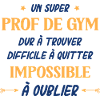 Un super prof de gym